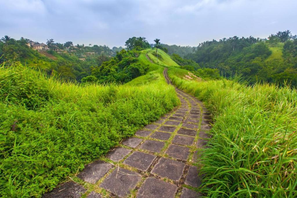 Casa Ganesha Hotel Ubud Экстерьер фото